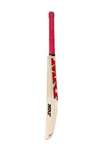 Xtroke Popular Willow Cricket Bat with Cover (Size 6) - Distacart