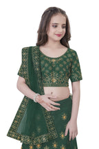 Dwiden Green Lehriyu Tafetta Sattin Semi-Stitched Girl's Lehenga Choli