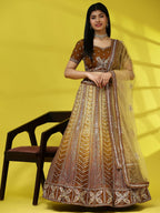Brown Fancy Net Sequence Embroidered Lehenga Choli with Dupatta - Dhara
