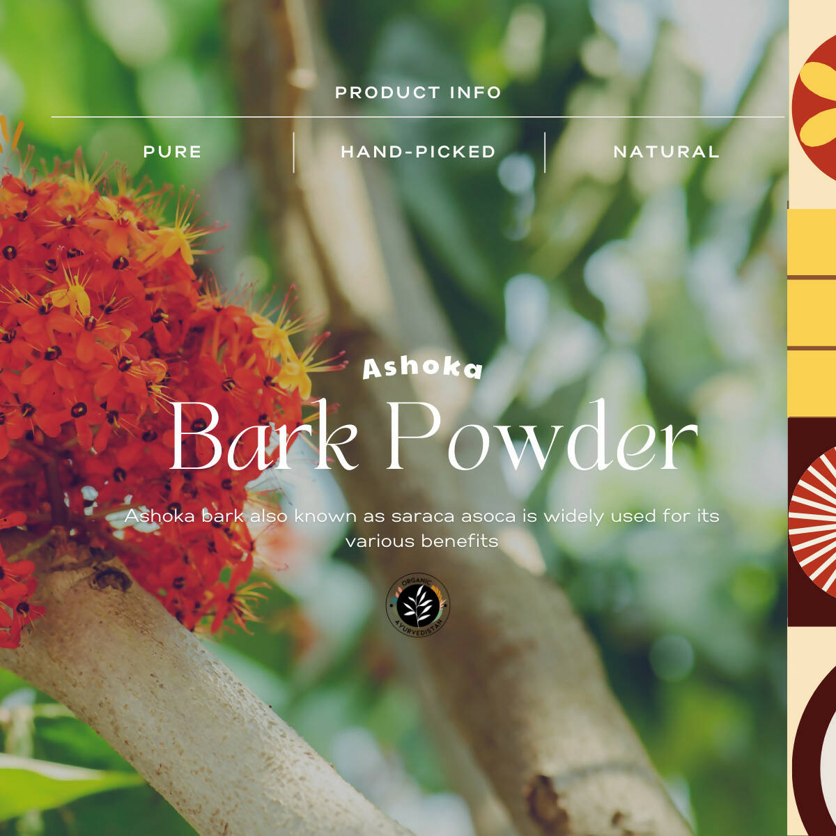 Organic Ayurvedistan Ashoka Bark Powder - Distacart
