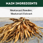 Herbal Hills Ayurveda Shatavarihills Capsules - Distacart