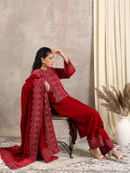 trueBrowns Red Velvet Embroidered Pant