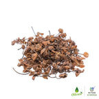 Oilcure Nagkesar