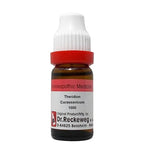 Dr. Reckeweg Theridion Curassavicum Dilution - Distacart
