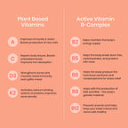 Wellbeing Nutrition Melts Into Multivitamins Oral Strips-Divine Alphonso Mango Flavor - Distacart