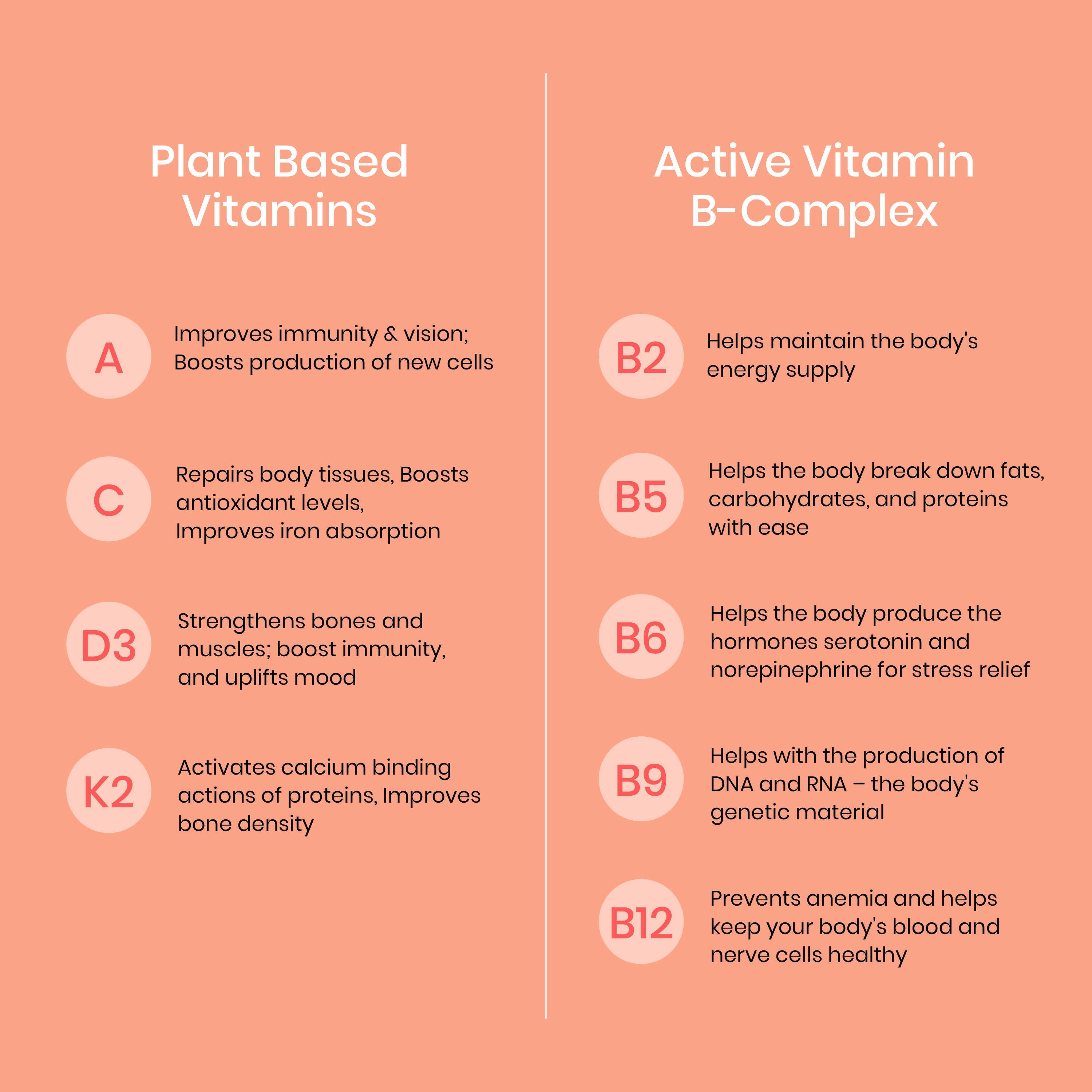 Wellbeing Nutrition Melts Into Multivitamins Oral Strips-Divine Alphonso Mango Flavor - Distacart
