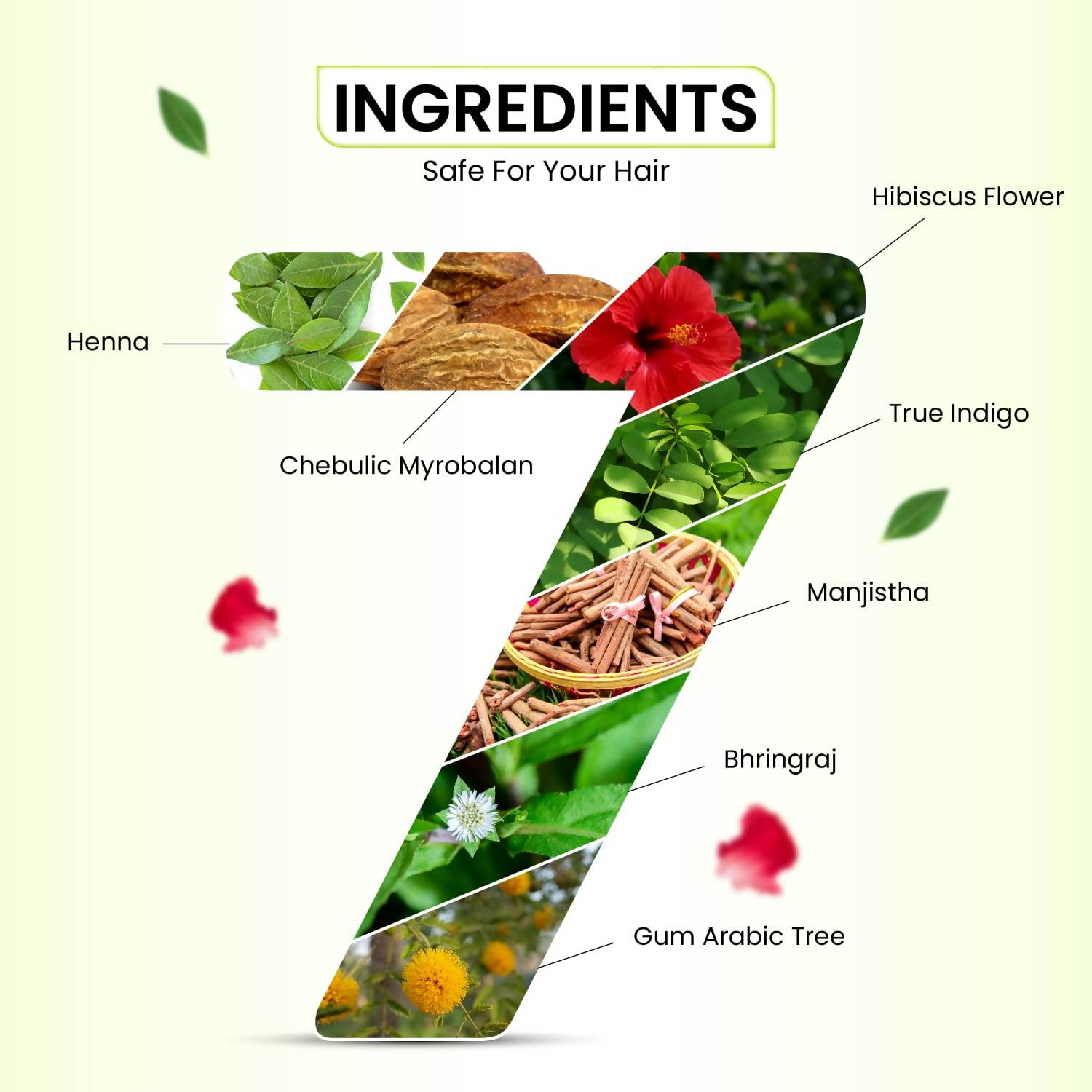 VCare Natural Herbal Hair Dye Powder