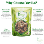 Yuvika Marod Phali - Marori - Helicteres Isora - Avaitini Screw Beans