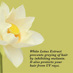 True Frog Everyday Hair Conditioner