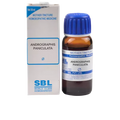 SBL Homeopathy Andrographis Paniculata (Kalmegh) Mother Tincture Q
