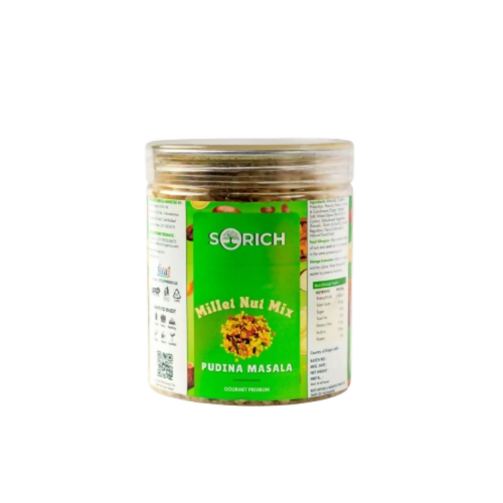 Sorich Organics Millet Nut Mix – Pudina Masala Crunchy & Healthy Snack - Distacart