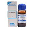 SBL Homeopathy Mullein Flower Mother Tincture Q - Distacart