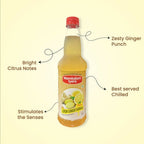 Mambalam Iyers Lemon Ginger Sarbath - Distacart