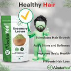 NeutraVed Rosemary Leaves For Hair Growth & Hair Fall Control