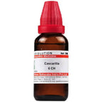 Dr. Willmar Schwabe India Cascarilla Dilution