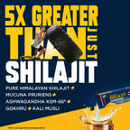 Fast&Up Sj X - Pure Himalayan with Power of 5 Potent - Kesar Badam Flavour - Distacart