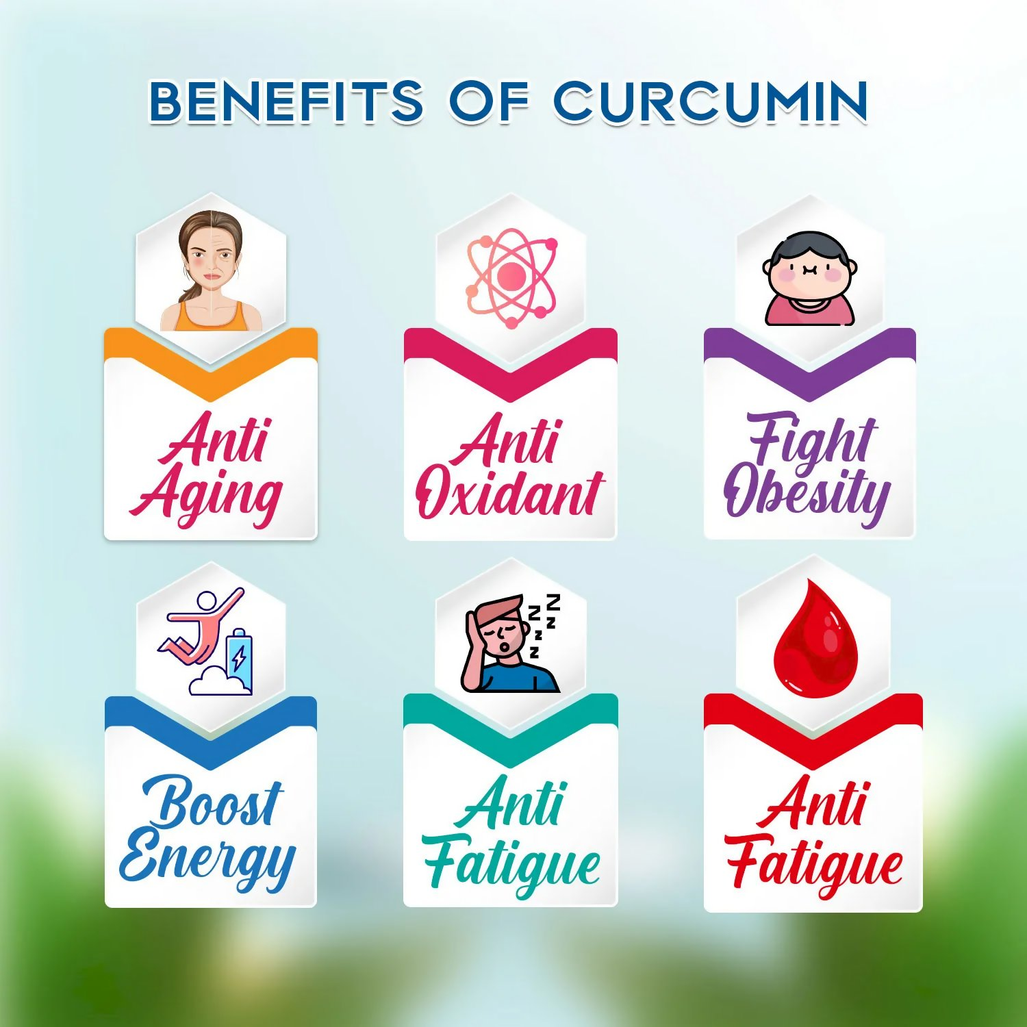 Rajasthan Herbals Curcumin Capsules