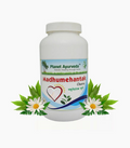 Planet Ayurveda Madhumehantak Churna - Distacart
