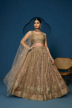 Brown Soft Netzari Embroidery Work Lehenga Choli - Jihu Culture