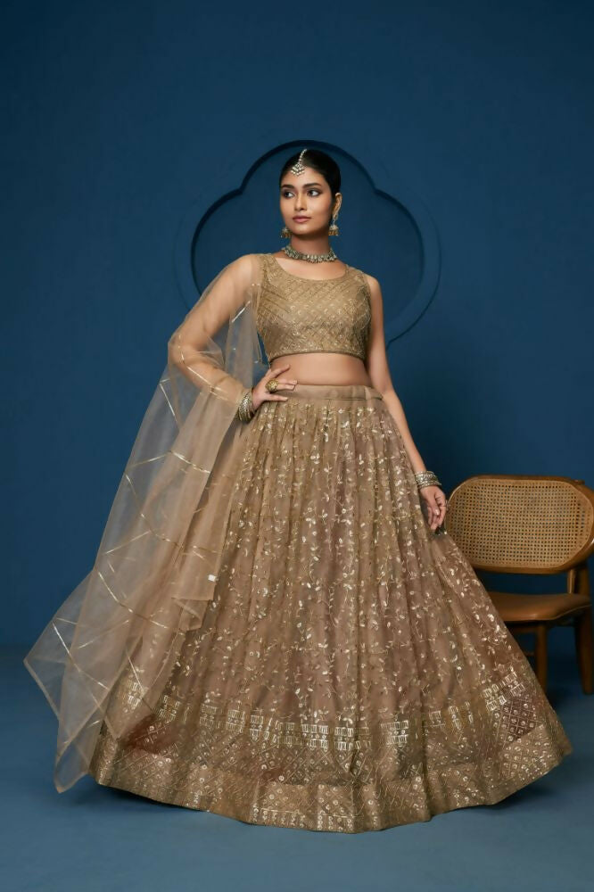 Brown Soft Netzari Embroidery Work Lehenga Choli - Jihu Culture