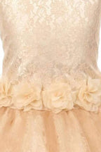 Asmaani Baby Girl's Gold Color Satin A-Line Frock (AS-DRESS-22132)