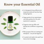 Mitti Se Tea Tree Essential Oil