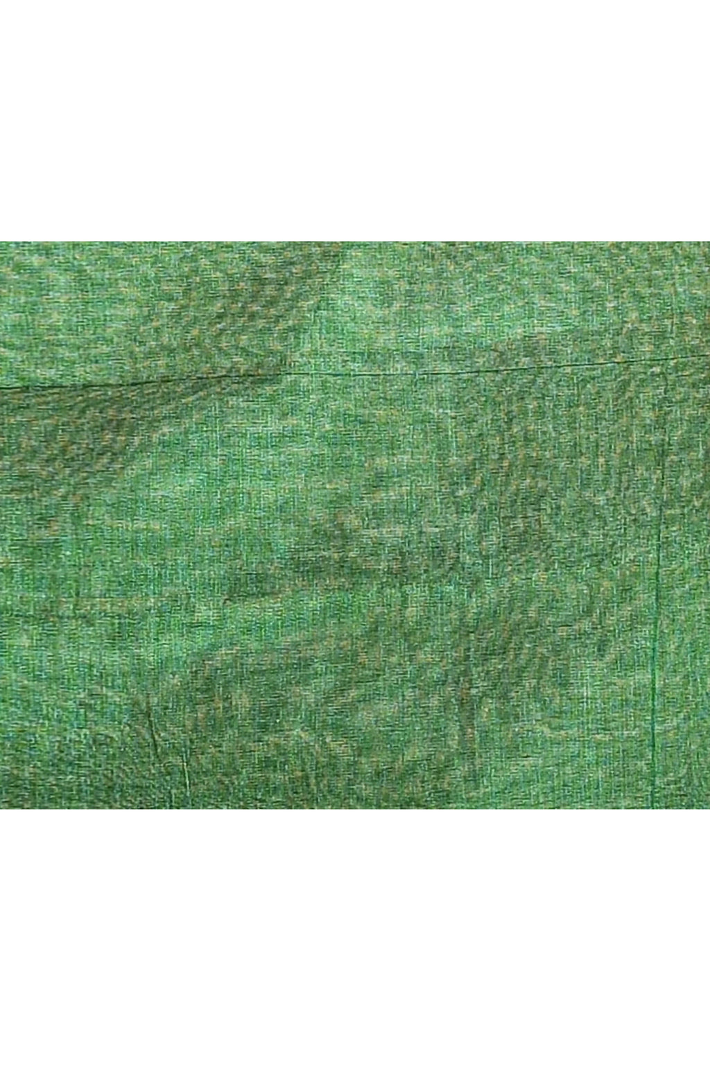Piyari Fashion Women's Green Dual Tone Organic Tissue Saree With Blouse Piece - Distacart
