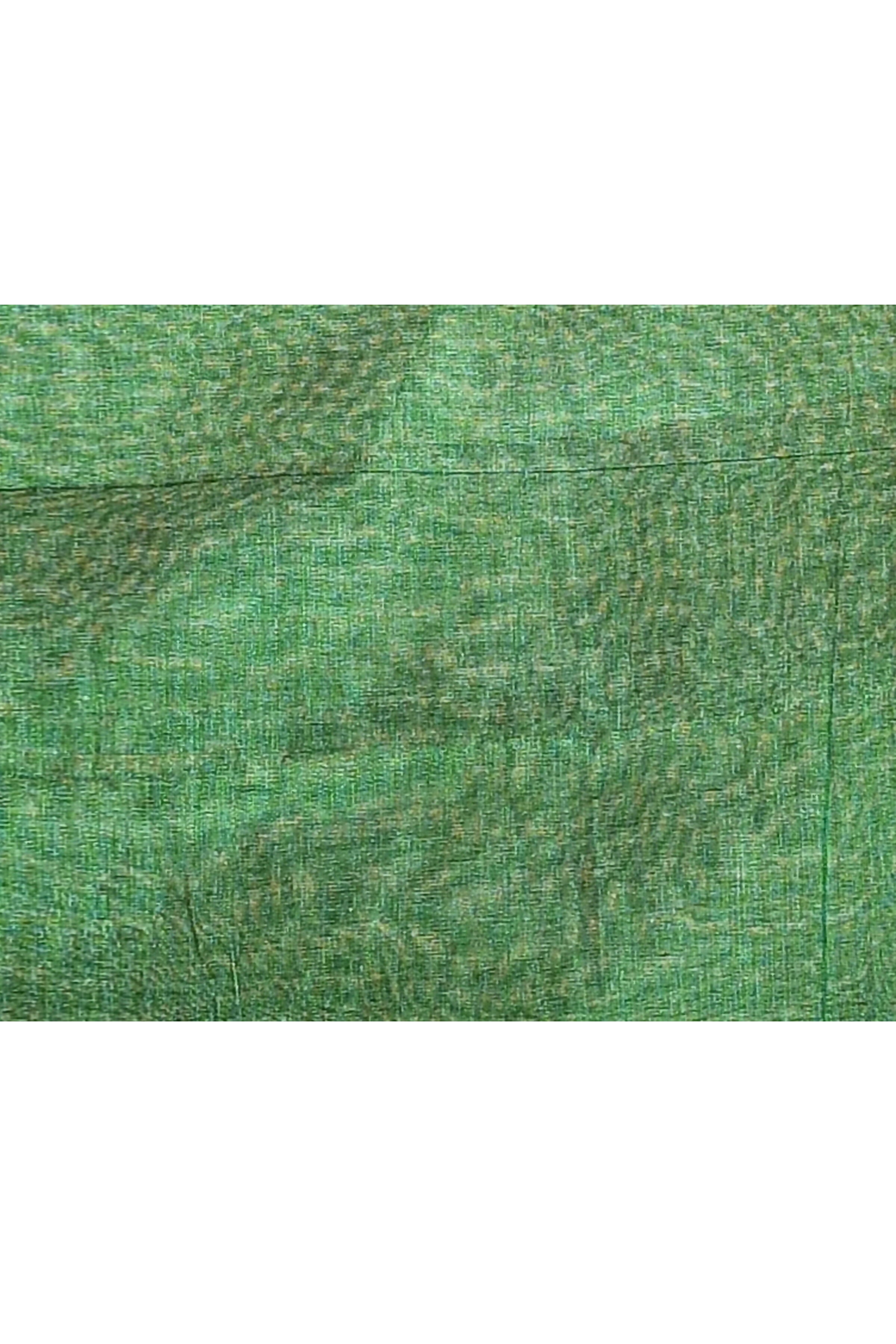 Piyari Fashion Women's Green Dual Tone Organic Tissue Saree With Blouse Piece - Distacart