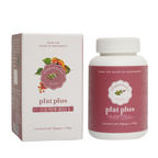 Baidyanath Jhansi Ayurvedant Plat Plus Tablets - Distacart