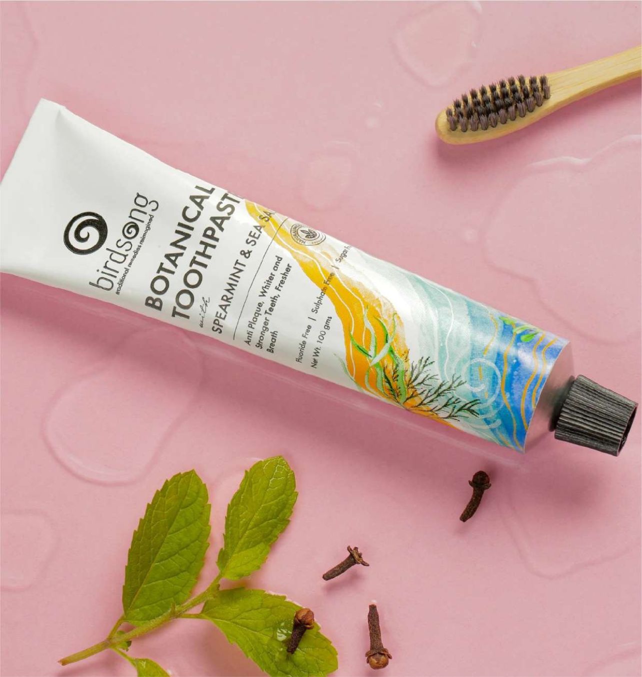 botanical sea salt and spearmint toothpaste 100 gm