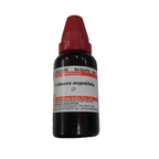 Dr. Willmar Schwabe India Echinacea Angustifolia Mother Tincture Q - Distacart