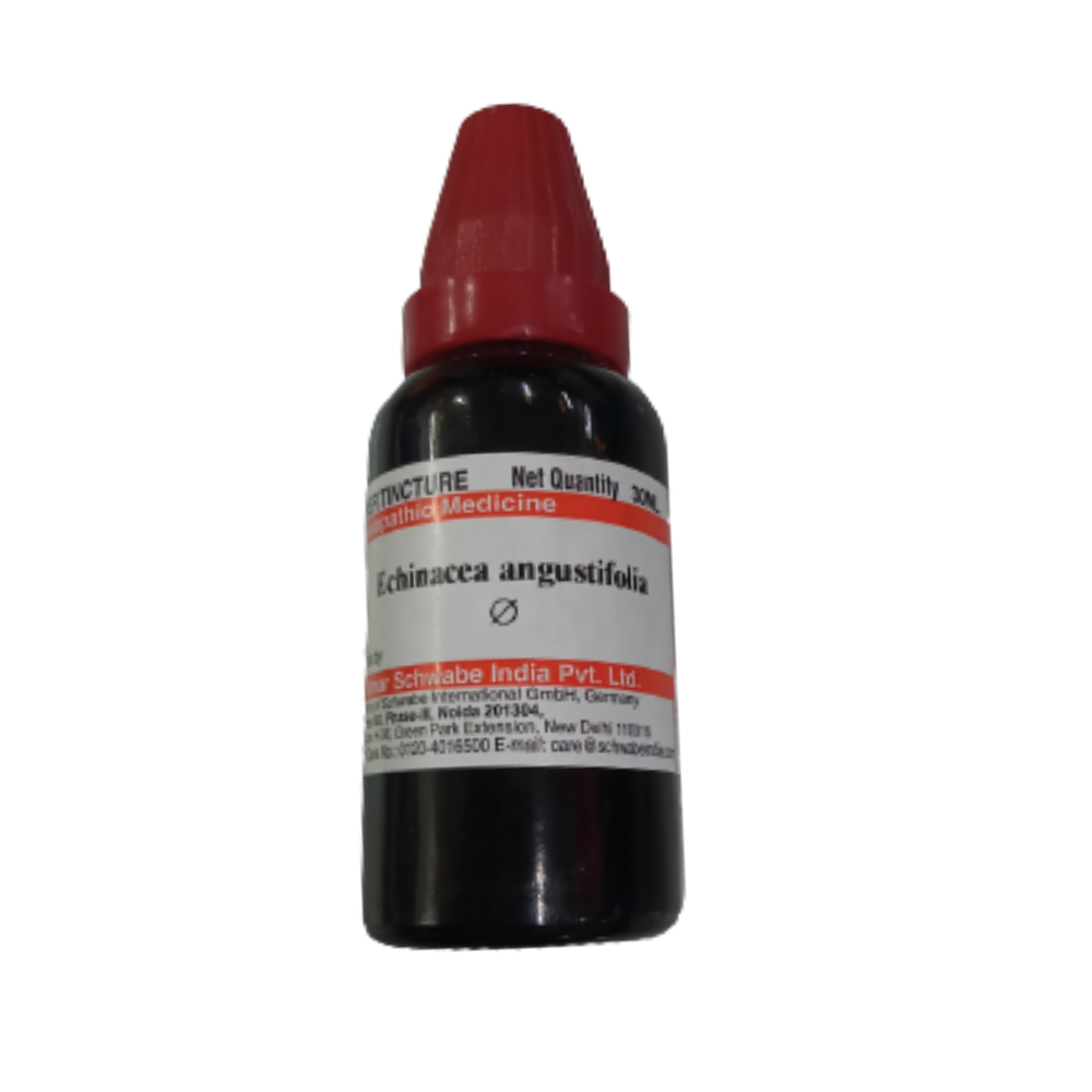 Dr. Willmar Schwabe India Echinacea Angustifolia Mother Tincture Q - Distacart
