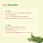 Nat Habit Rosemary Essential Oil