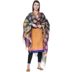 A R Silk Women's Zari Embroidery With Rainbow Colour Vanarsi Silk Rainbow Multi Dupattas and Chunnis