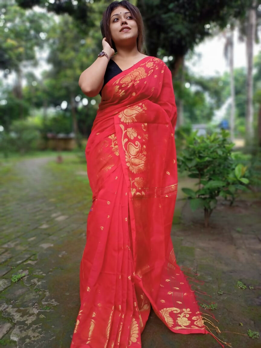 ECDCCSHSRed(2)