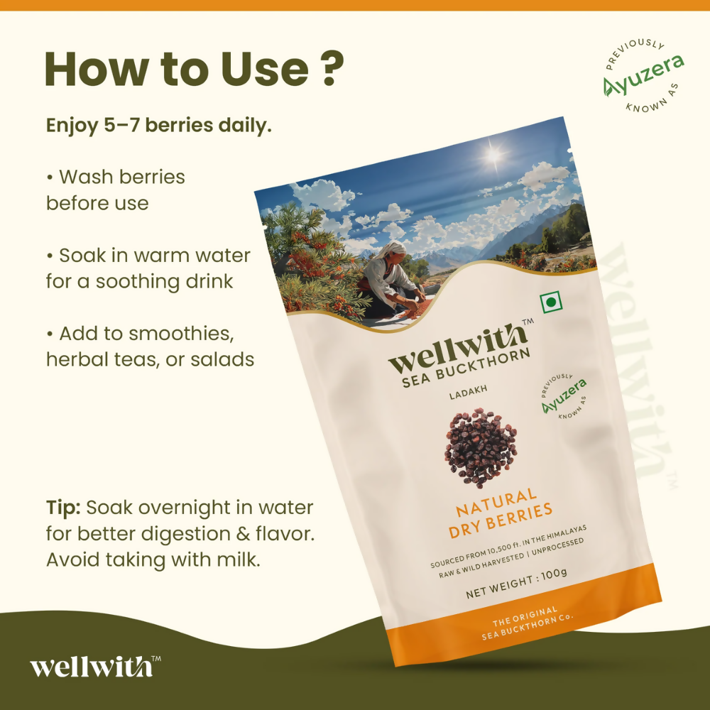 Wellwith Sea Buckthorn Dry Berry