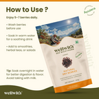 Wellwith Sea Buckthorn Dry Berry