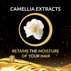 Palmolive Luminous Oil Argan Oil & Camelia Shampoo