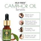 Old Tree Camphor Essential Oil