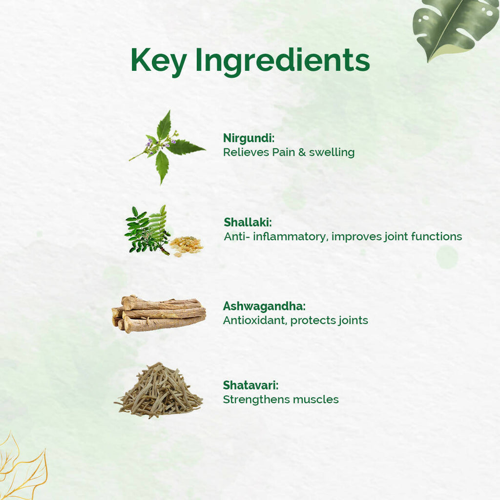 Dr. Vaidya's Pain Relief Oil - Distacart