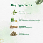 Dr. Vaidya's Pain Relief Oil - Distacart