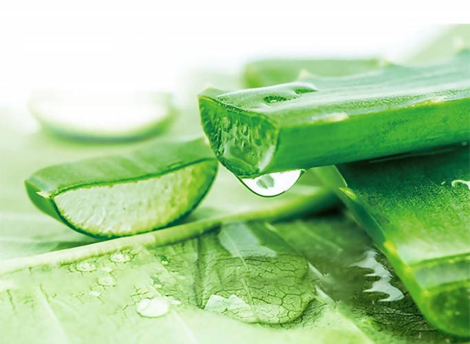 Herbal Essences Sulfate Free potent Aloe +Bamboo Real Botanicals Strength Conditioner