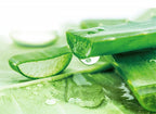 Herbal Essences Sulfate Free potent Aloe +Bamboo Real Botanicals Strength Conditioner