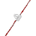 trueBrowns X Voylla Sterling Silver Trishul Rakhi - Distacart