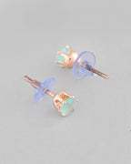 VOJ Rose Gold-Polished AD-Studded Necklace & Earrings