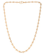VOJ Gold Polished Oval Shaped Minimal Chain For Women - Distacart