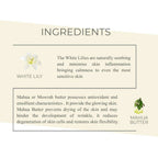 Mystique Earth Silk Serum Body Lotion