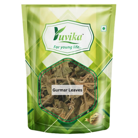 Yuvika Gurmar Leaves - Gudmar Leaves - Gymnema Sylvestre - Periploca Of The Woods