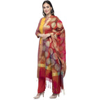 A R Silk Women's Vanarsi Silk Zari Embroidery With Rainbow Colour Multi Rainbow Fancy Dupatta