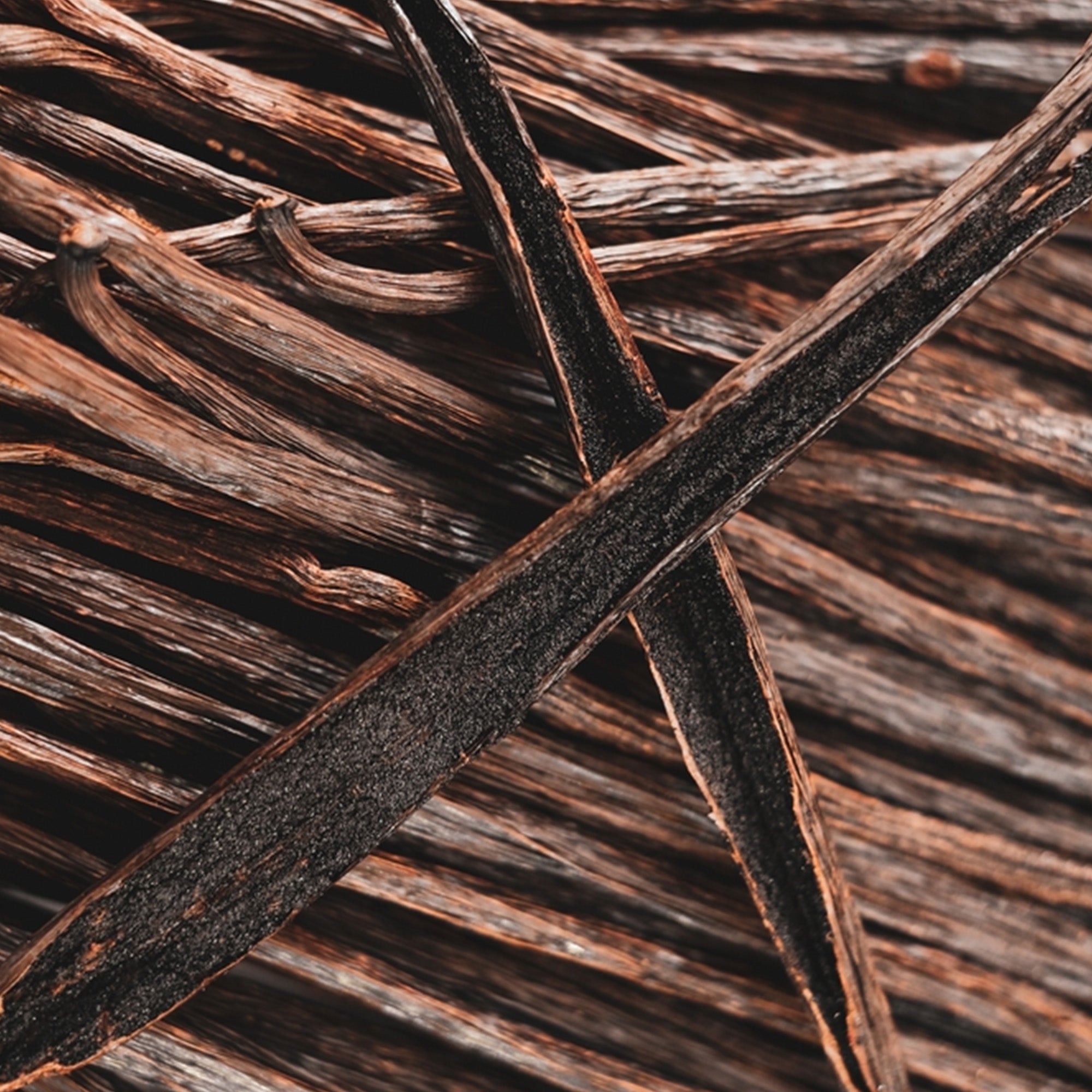 confect vanilla beans 10 pods 44 50 gms